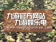 种植基地七