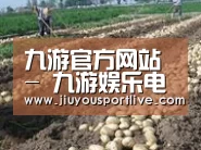 种植基地八