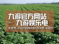 种植基地五