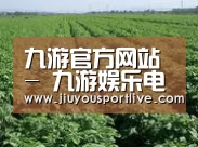 种植基地五(图1)