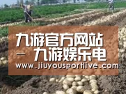 种植基地七(图1)