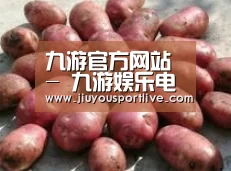 产品展示标题5(图1)