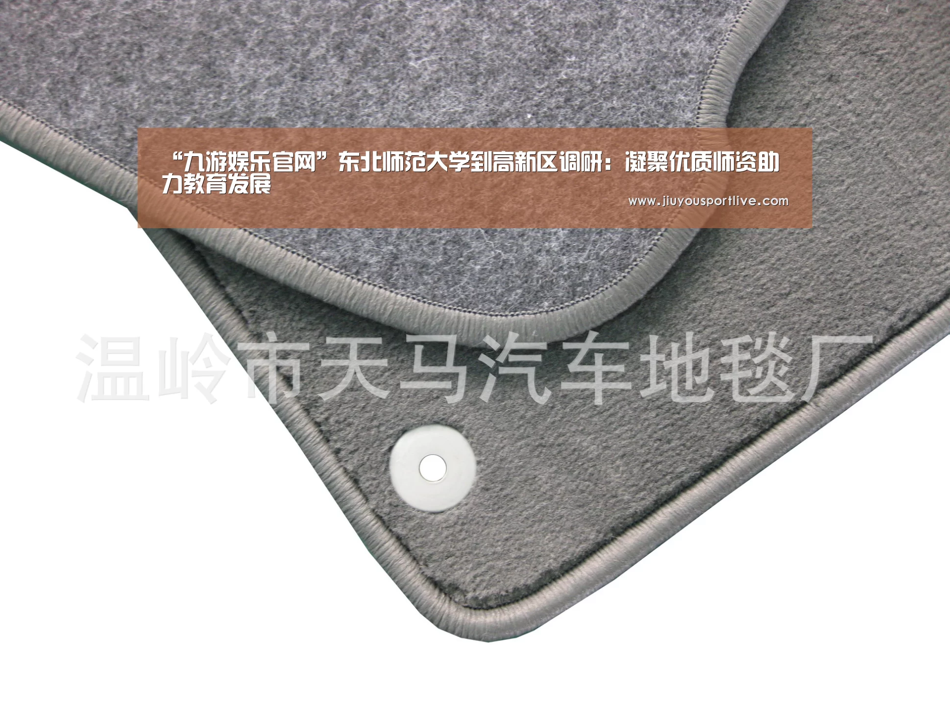 “九游娱乐官网”东北师范大学到高新区调研：凝聚优质师资助力教育发展(图2)