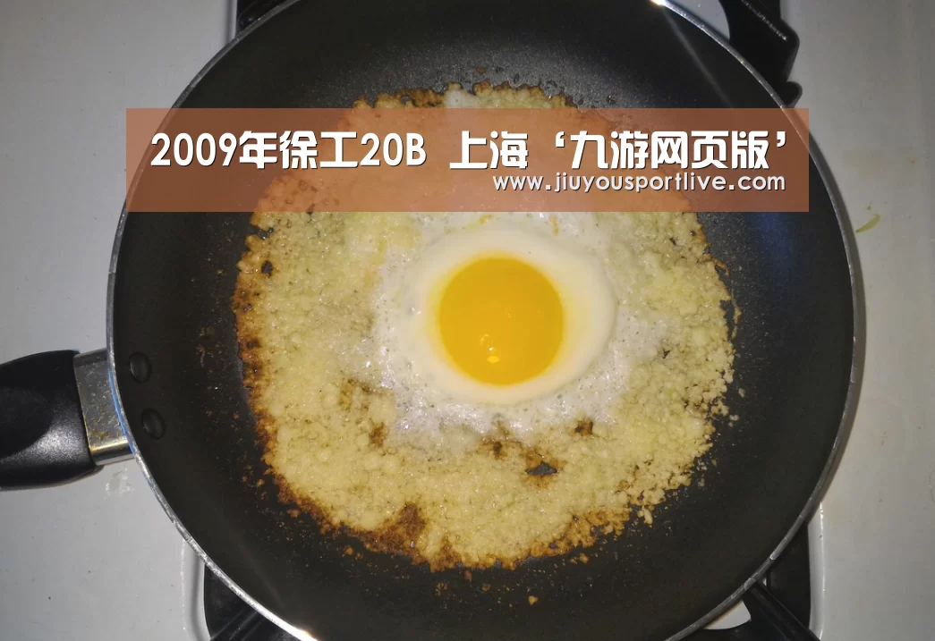 
2009年徐工20B   上海‘九游网页版’(图4)