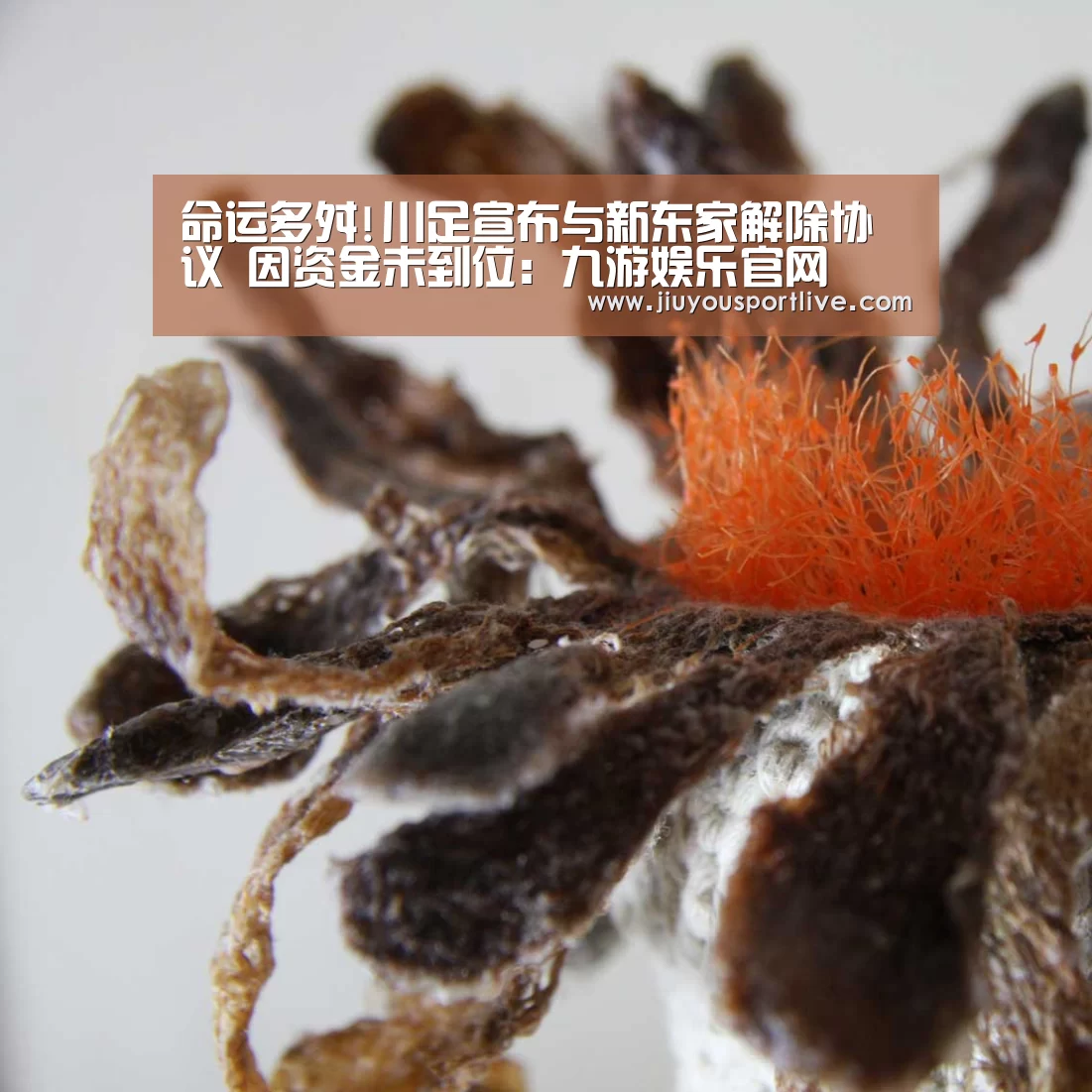 九游网页版